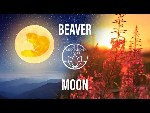 Beaver Moon – Full Moon Meditation in November – Water & Earth Nature Sounds