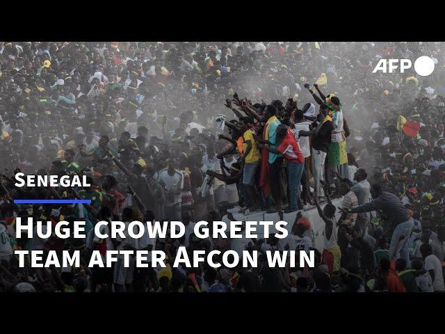 Ecstatic crowds greet victorious Senegal on Cup of Nations return | AFP