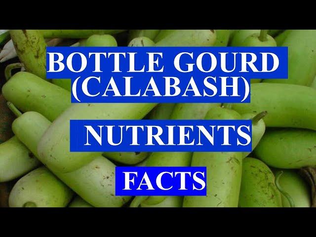 BOTTLE GOURD ( CALABASH ) VEGETABLE - HEALTH BENEFITS AND NUTRIENTS FACTS