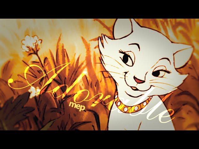 ▶ Adorable | Animash MEP