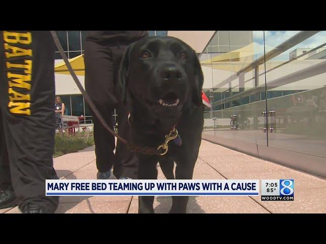 Partnership brings therapy dog to Mary Free Bed