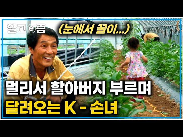 ''할아버지 제가 노래 불러 드릴게요" 할아버지가 손녀 바라기가 될 수밖에 없는 이유｜딸 바보가 될 수밖에 없는 이유｜다문화 사랑｜알고e즘