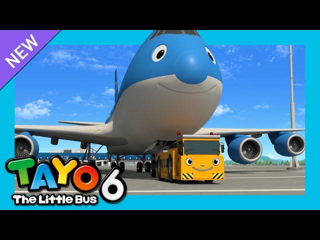 Tayo S6 EP9 My friend Cargo l Tayo's New plane buddy l Tayo English Episodes l Tayo the Little Bus