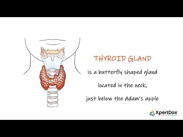 What is Thyroid Cancer?