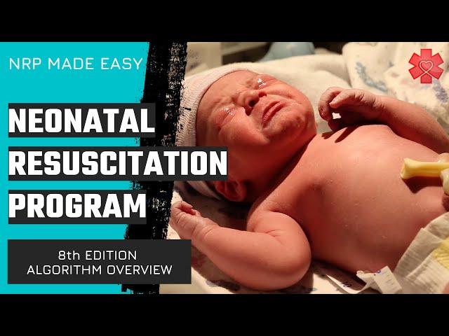 Neonatal Resuscitation Program (NRP) Algorithm Overview (8th Edition)