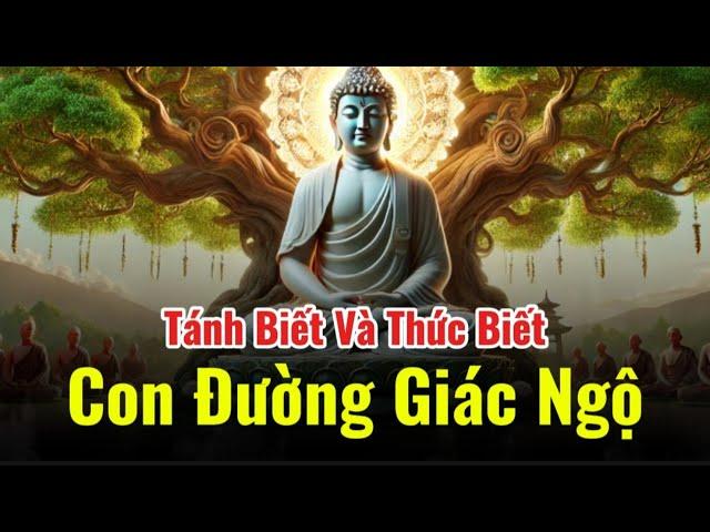 Con Đường Giác Ngộ,Tánh Biết và Thức Biết #TánhBiết #ThứcBiết #GiácNgộPhậtGiáo
