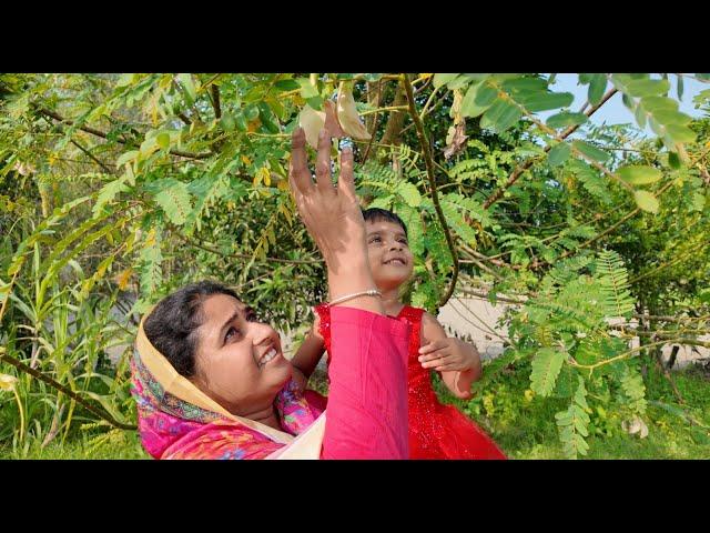 বকফুলের মজার পাকোড়া | Village life with Shampa