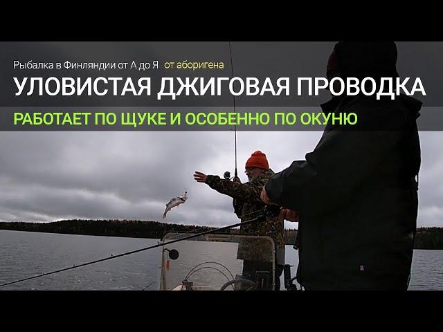 Уловистая джиговая проводка или как поймать много окуня?