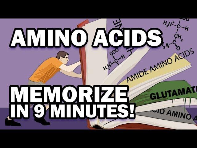 Memorize the 20 Amino Acids in 9 Minutes