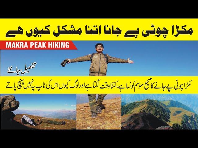 Makra peak | makra peak hike | siri paye to makra peak hiking   | ADVENTURE | makra hiking time