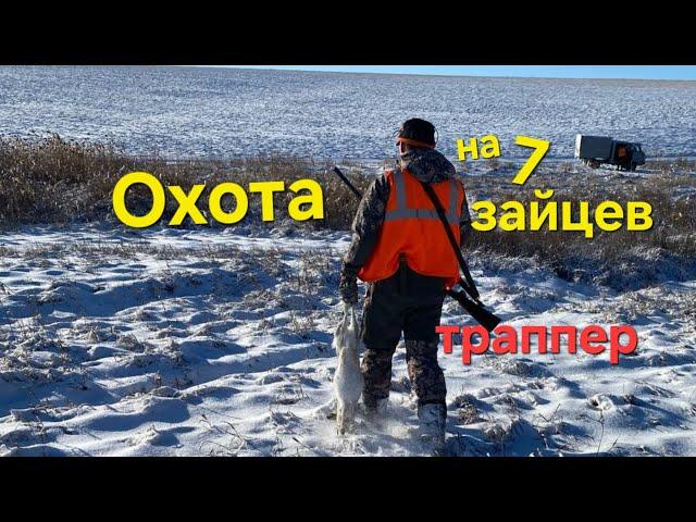 Охота на 7 зайцев. Страсть