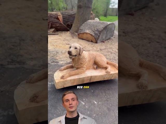 Бизнес на дереве #бизнес #маркетинг #идеи