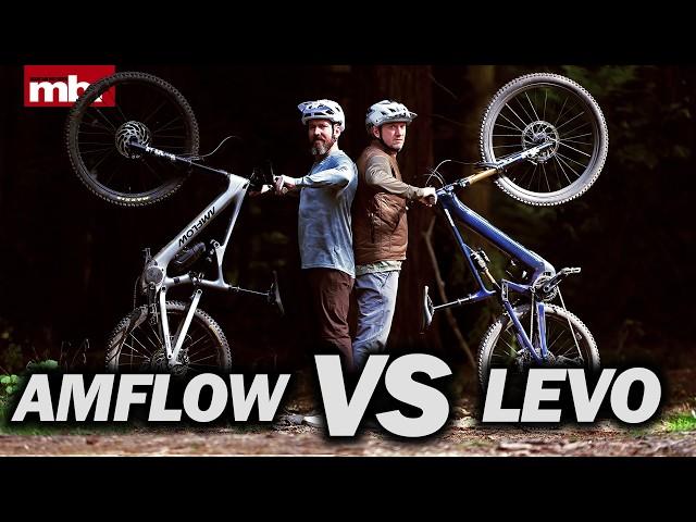 Specialized Turbo Levo gen 4 Vs. Amflow PL Carbon with DJI motor
