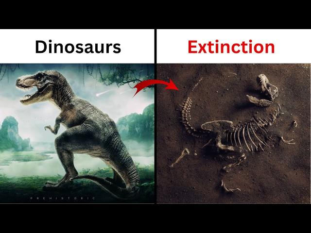 The Rise and Fall of Dinosaurs | Info Family