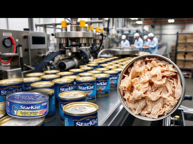 How Millions of Cans of Tuna Are REALLY Made in a Factory | Canned Tuna Factory Process