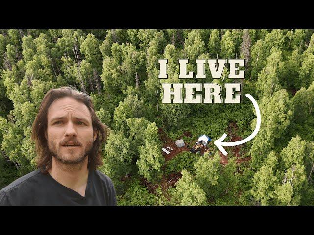 A Slice of Life Alone in a Canvas Tent (Tour of My Setup) - Off Grid in Alaska┃EP7┃I Live Here