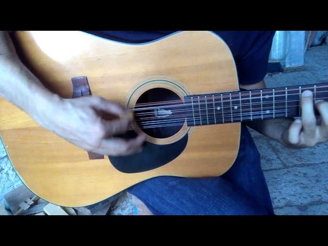 Chitarra acustica 12 corde Hondo II (vintage)