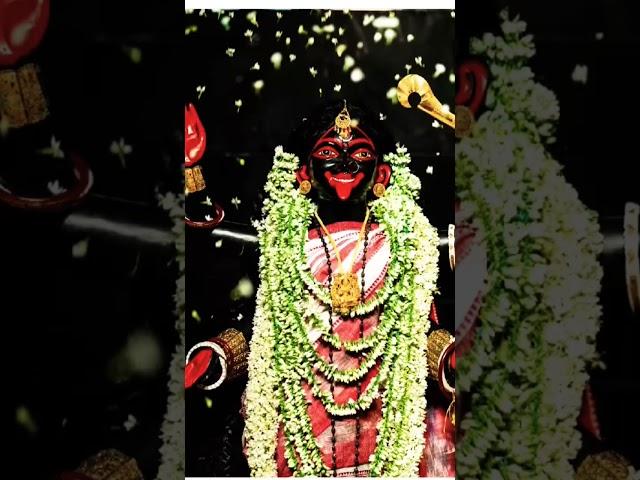 joy sham sundori maa #subscribe #shortvideo #viralvideo