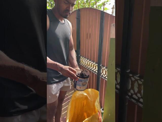 RATS in My Coconut Tree?!  + They Almost Got My Washing Machine Too!
