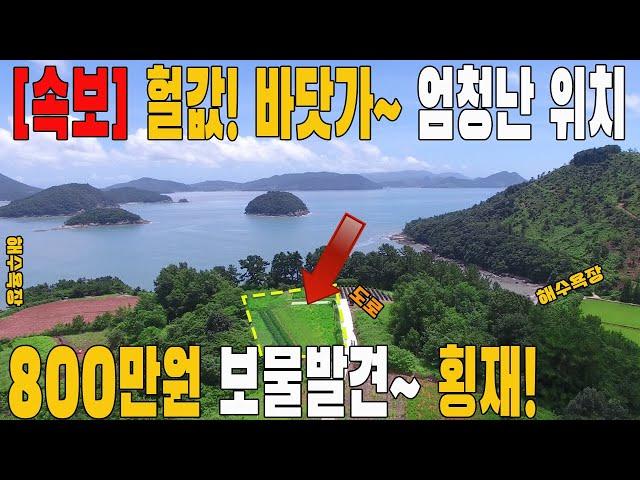 [속보] 바닷가~ 언덕 위 토지~ 헐값 초급매! 끝없이 떨어진 가격! 평당 8만원~ 바닷가 토지가 쏟아집니다~ 도로와 연결된 임야 800만 원~ 몽땅 2600만 원~ 전원주택가능~