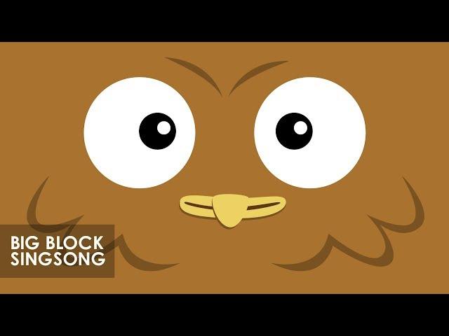 Big Block Singsong | Owl