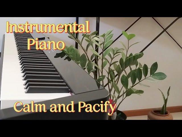 Calm and Peaceful Piano | Instrumental Music to Calm and Pacify