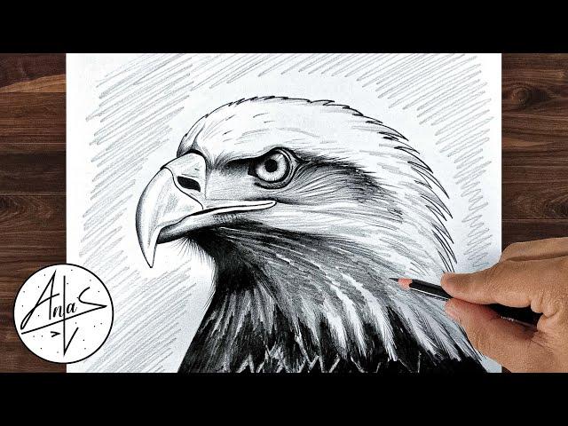 How To Draw A EAGLE  | Pencil Drawing Tutorial