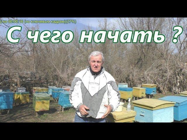 С ЧЕГО НАЧАТЬ? Видео для начинающего пчеловода.