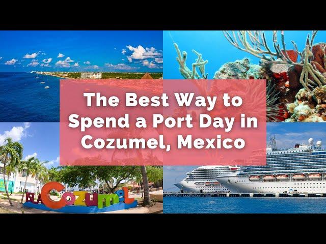 What to do in Cozumel | Port Day Recommendations | Snorkel | El Cielo | Food & Drink | Where to Eat