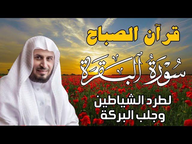 قرآن الصباح | سورة البقرة لجلب الرزق وحفظ المنزل بإذن الله | بصوت الشيخ  سعد الغامدي