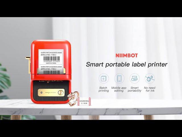 Niimbot fashion protable label printer B21 operation