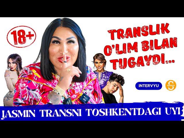 JASMIN TRANS TOSHKENTDAGI UYIDAN INTERVYU 2024 #shokuz