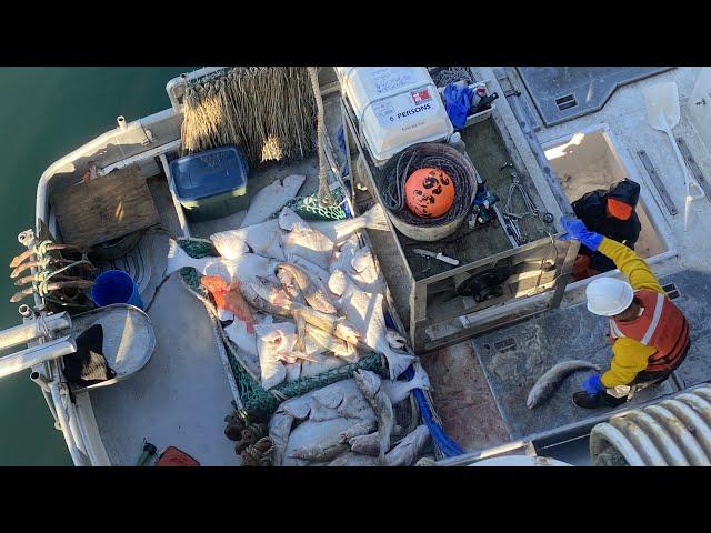 A Good Set At Last! - Final Set of the Trip and Delivering the Catch! | Alaska Halibut Fishing