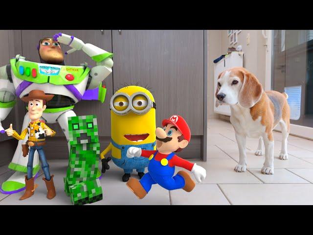 Animations in REAL LIFE vs Funny Dogs  |