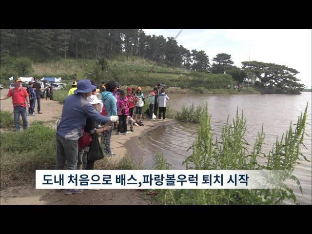 제주MBC 리포트 생태계 교란 심각 권혁태