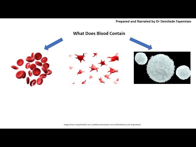 Chapter 8.2: Blood Cells, Haemoglobin and the Bohr Shift