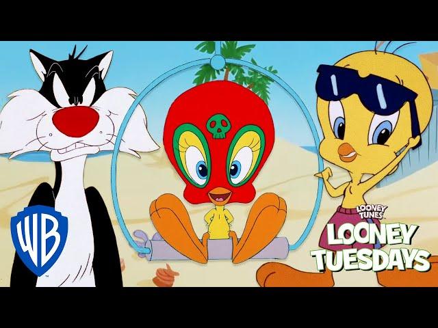 Looney Tuesdays | Best of Tweety from Sylvester and Tweety Mysteries  | Looney Tunes | @WB Kids