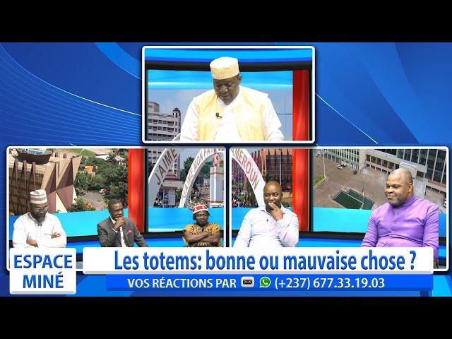 LES TOTEMS: BONNE OU MAUVAISE CHOSE ? ESPACE MINÉ DU 06 MARS 2025