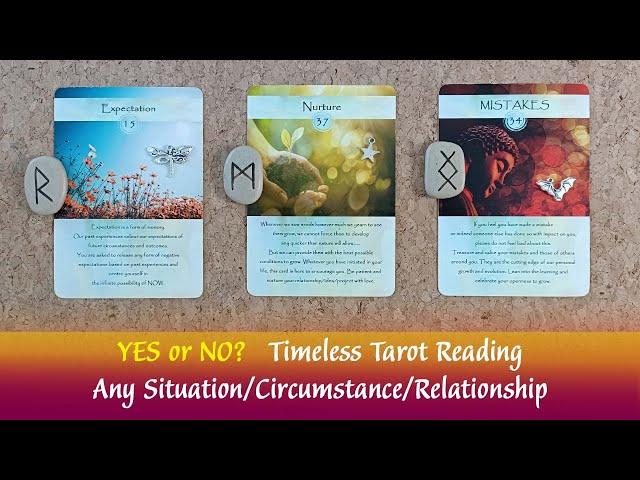 YES or NO? #pickacardtarotreading‍️Any Situation/Circumstance/Relationship #timelesstarotreading