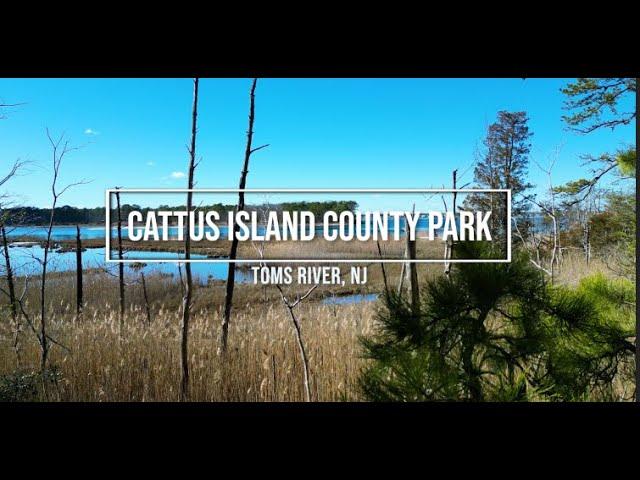 Coastal Drone Reel (Incredible Views) | Cattus Island County Park