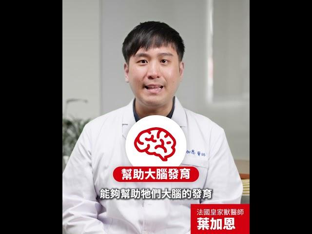 【醫起聊聊】幼貓幼犬各階段所需的營養有哪些？專業獸醫為你解答｜法國皇家