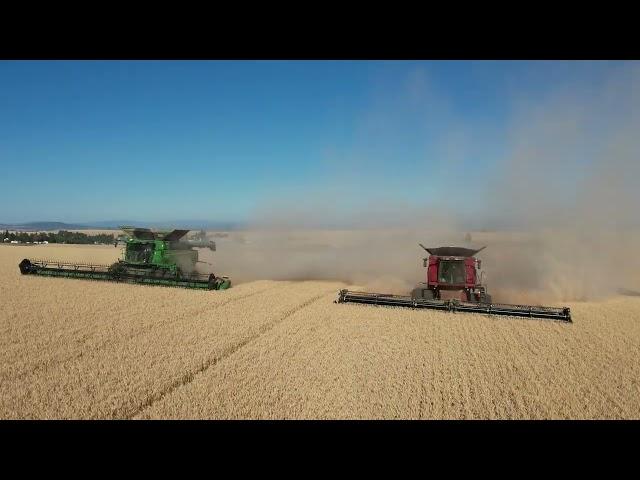 John Deere X9 1100 W/ HD50R   VS Case IH 9250