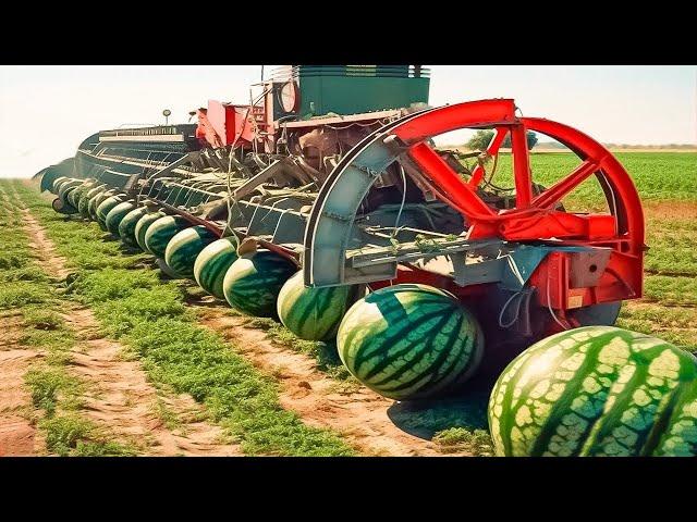 Amazing Agriculture Machines Operating At An INSANE LEVEL