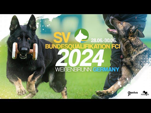 SV Bundes FCI 2024 / Fero vom Weggefährten / Udo König / working-dog