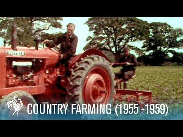 Country Farming: Innovations of the Modern Tractor (1955-1959) | British Pathé