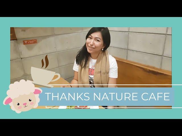 Thanks Nature Cafe: Sheep Cafe in South Korea!