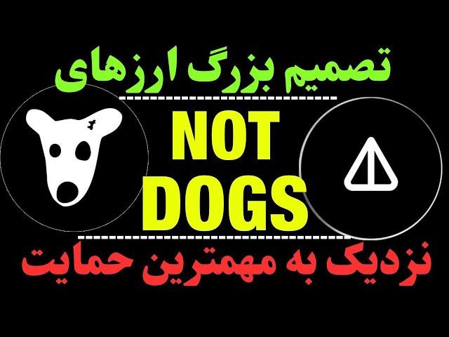 تحلیل ارز داگز و نات کوین | DOGS نزدیک مهمترین حمایت | NOT و مهمترین تصمیم