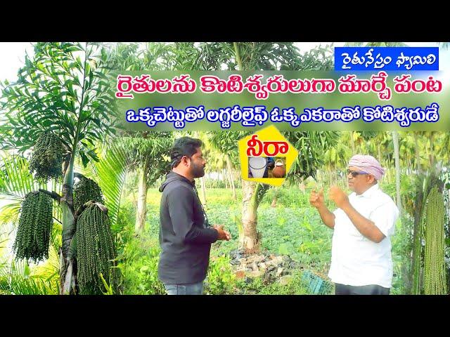 RaituNestham | రైతులను కోటీశ్వరులుగా మార్చే పంట, ఒక్కచెట్టు పెంచిన లగ్జరీలైఫ్, ఒక ఎకరాతో కోటీశ్వరుడే