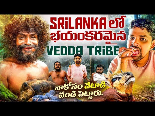 Vedda Tribes Srilanka  | శ్రీలంక అడవి వేటగాళ్లను కలిశాను | Wild Hunters | Srilanka vlogs