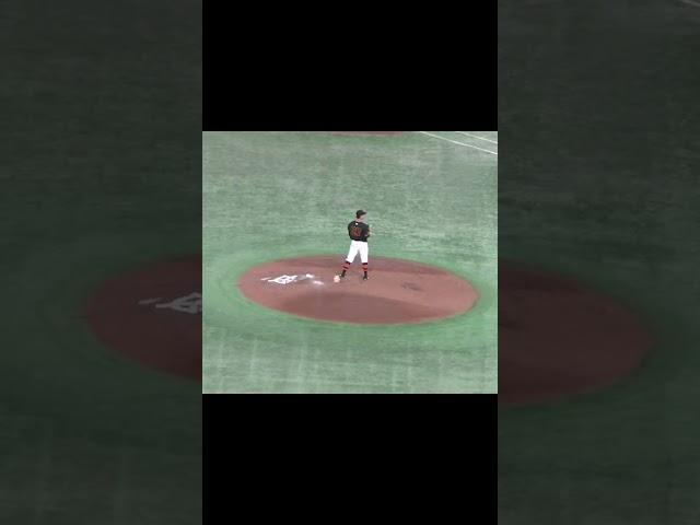 田中広輔を牽制で誘い出してアウトにした井上温大【 読売ジャイアンツ対 広島カープ2024年4月13日】